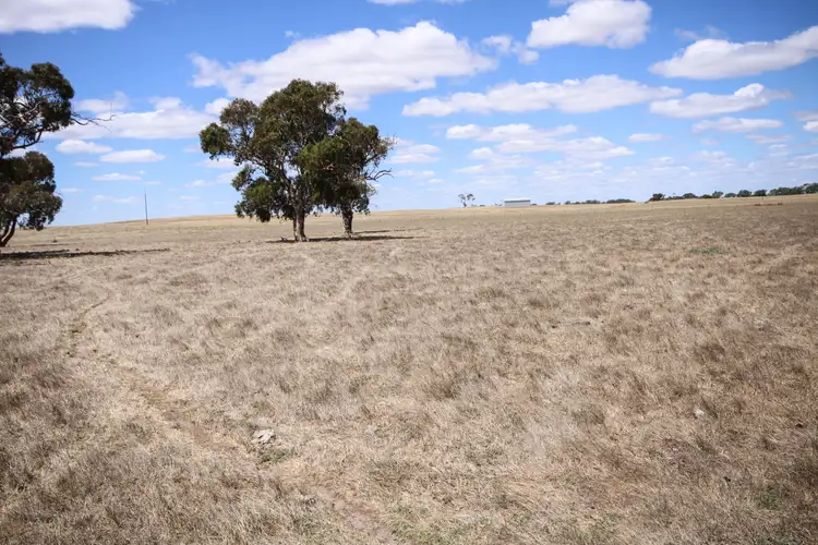 Third view of Homely rural property listing, 1234 Lucindale Road, Naracoorte SA 5271
