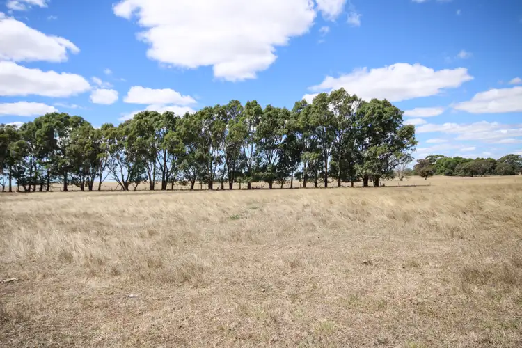 Fourth view of Homely rural property listing, 1234 Lucindale Road, Naracoorte SA 5271