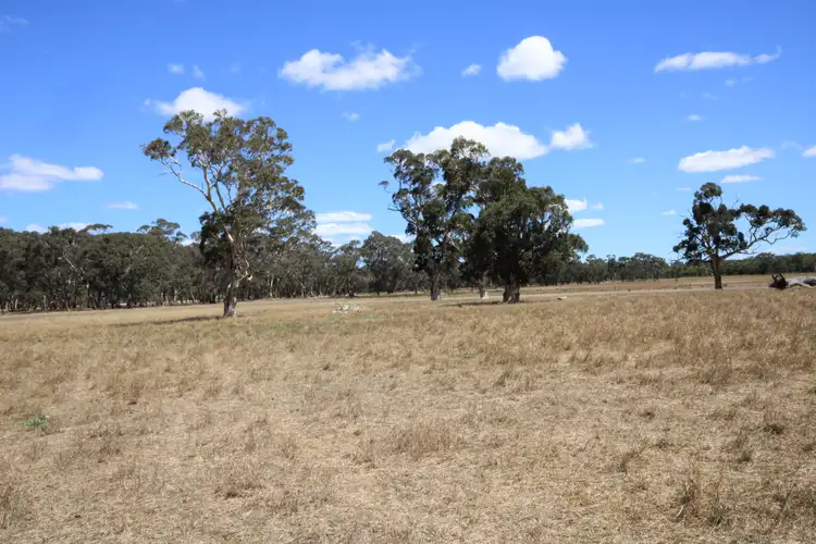Fifth view of Homely rural property listing, 1234 Lucindale Road, Naracoorte SA 5271