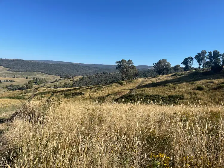 Main view of Homely rural property listing, 1230 Maragle Road, Maragle NSW 2653