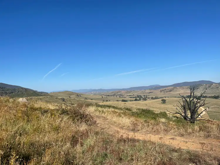 Third view of Homely rural property listing, 1230 Maragle Road, Maragle NSW 2653