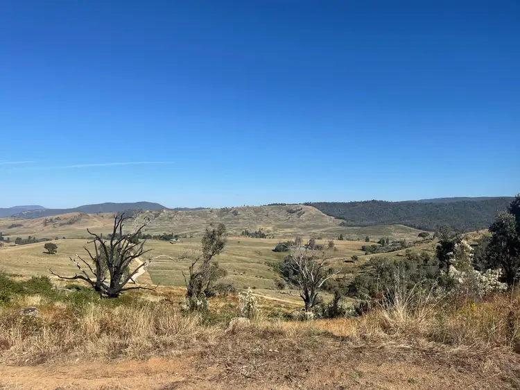 Fourth view of Homely rural property listing, 1230 Maragle Road, Maragle NSW 2653