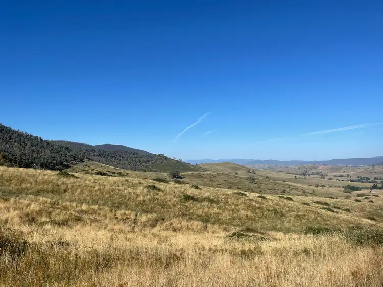 Sixth view of Homely rural property listing, 1230 Maragle Road, Maragle NSW 2653