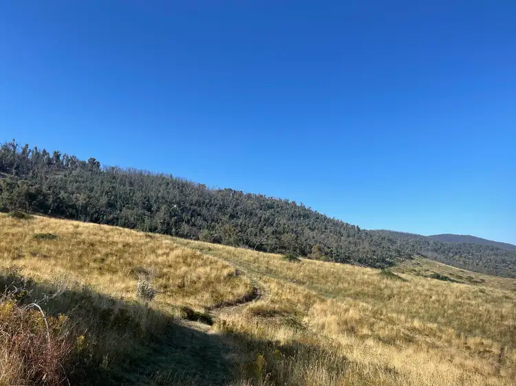 Seventh view of Homely rural property listing, 1230 Maragle Road, Maragle NSW 2653
