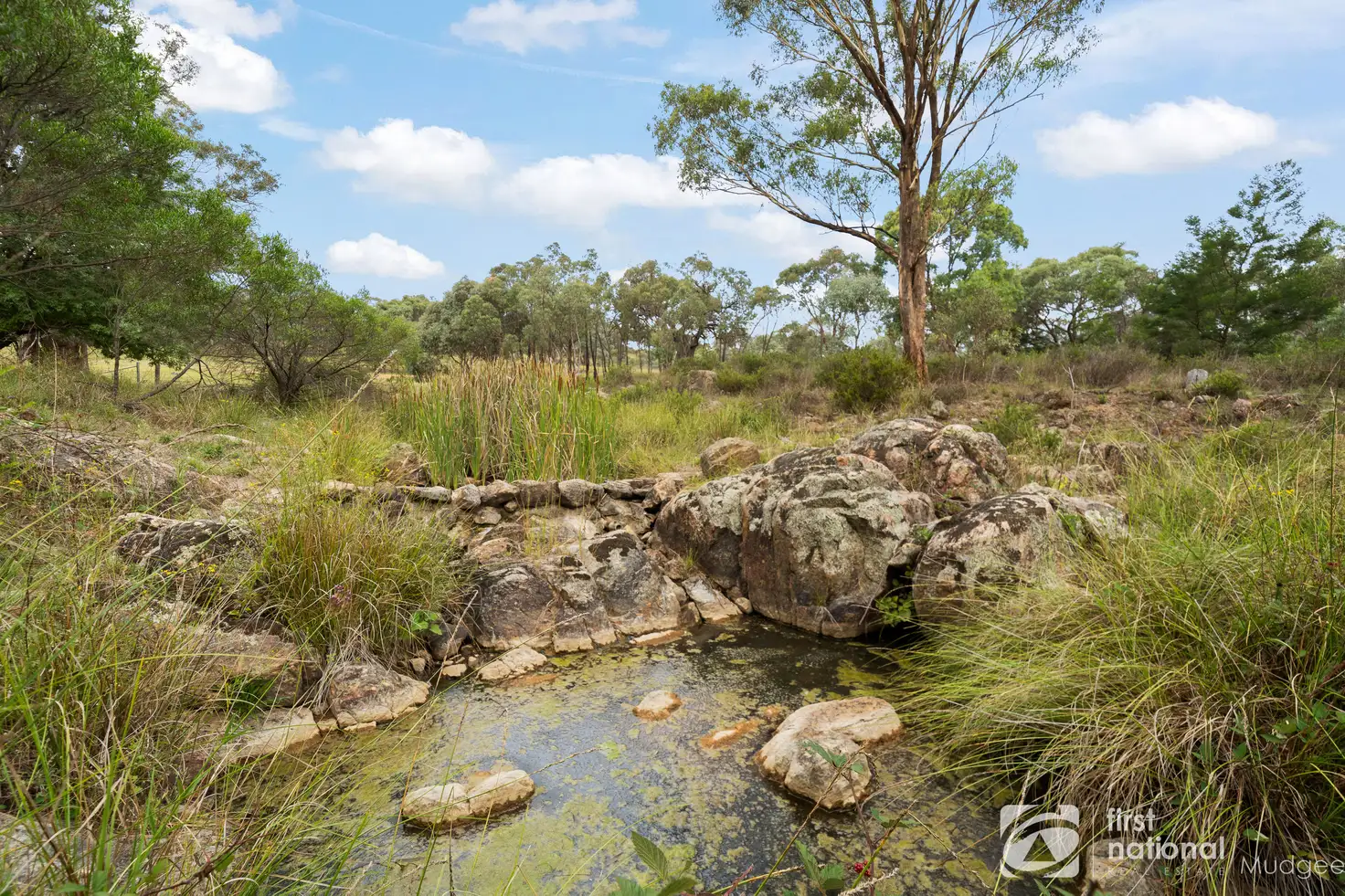 Main view of Homely rural property listing, 171 Beragoo Road, Mudgee NSW 2850