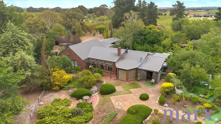 993a Light Pass Road, Vine Vale SA 5352