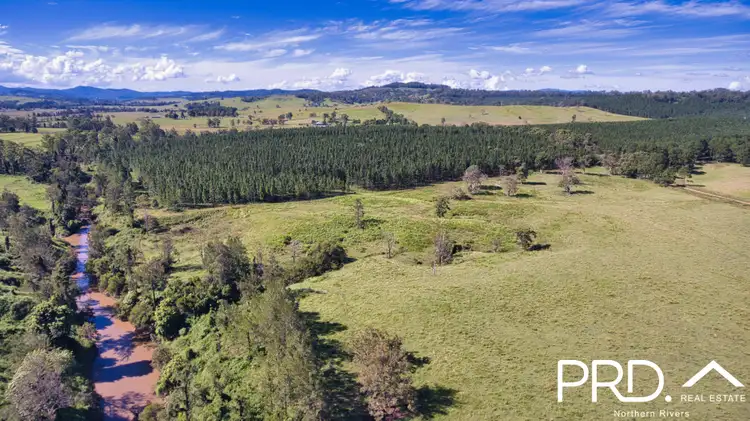Second view of Homely rural property listing, 324 Pines Road, Edenville NSW 2474