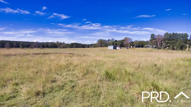 Third view of Homely rural property listing, 324 Pines Road, Edenville NSW 2474