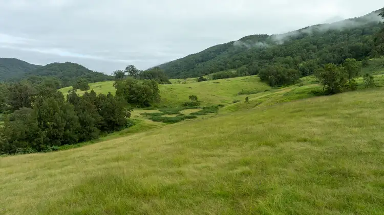 Fourth view of Homely rural property listing, 1728 Thunderbolts Way, Rookhurst NSW 2422