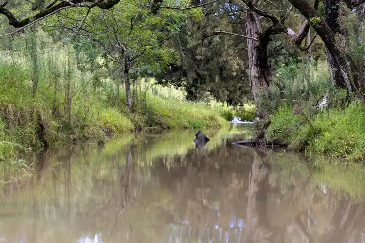 Seventh view of Homely rural property listing, 1728 Thunderbolts Way, Rookhurst NSW 2422