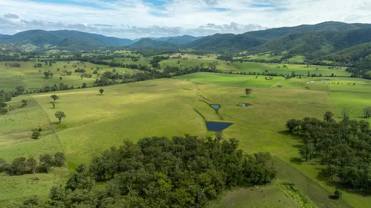 Second view of Homely rural property listing, 1301 Thunderbolts Way, Bowman NSW 2422
