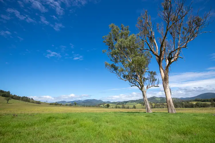 Fifth view of Homely rural property listing, 1301 Thunderbolts Way, Bowman NSW 2422