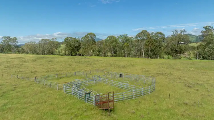 Seventh view of Homely rural property listing, 1301 Thunderbolts Way, Bowman NSW 2422