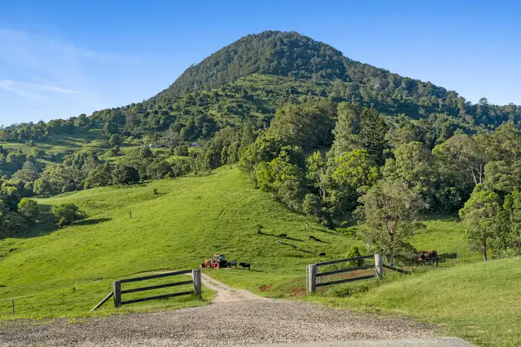Second view of Homely rural property listing, 54 Bald Mountain Road, Limpinwood NSW 2484