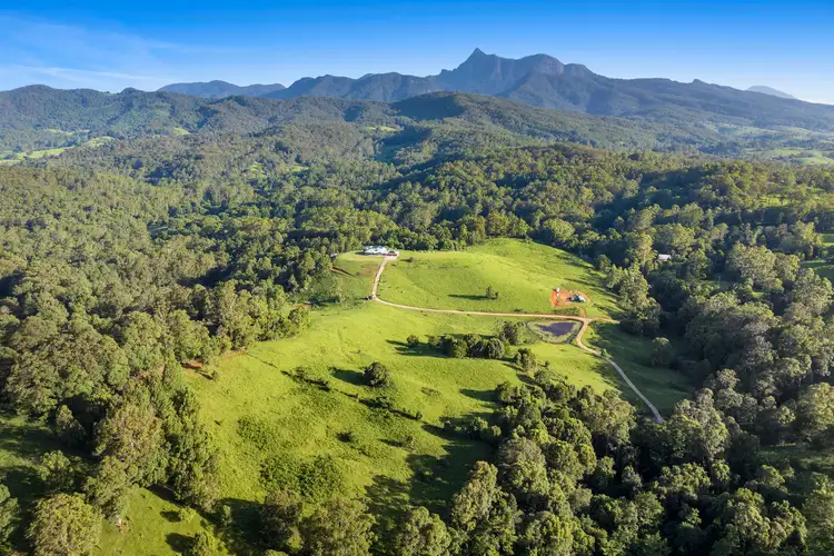 Third view of Homely rural property listing, 54 Bald Mountain Road, Limpinwood NSW 2484