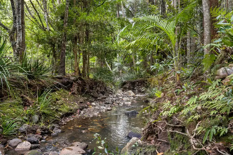 Fourth view of Homely rural property listing, 54 Bald Mountain Road, Limpinwood NSW 2484