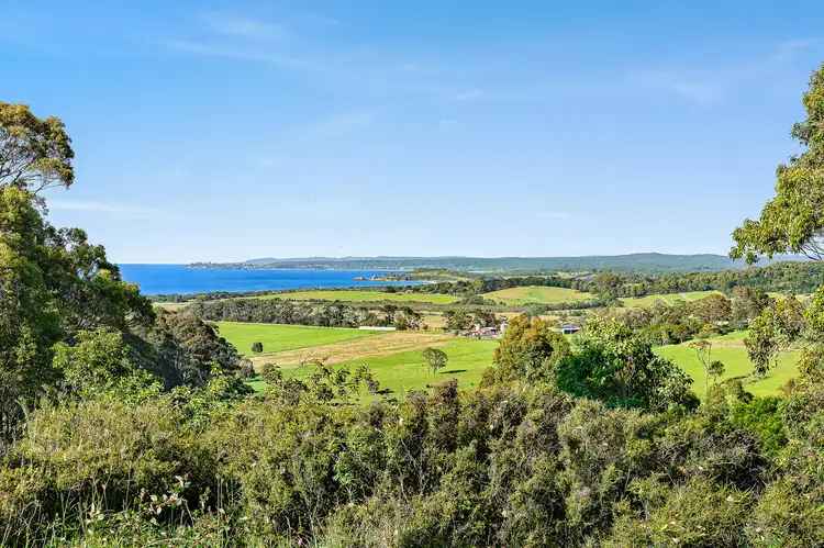 114 Haxstead Road, Central Tilba NSW 2546