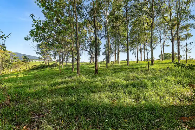 Sixth view of Homely land listing, 114 Haxstead Road, Central Tilba NSW 2546