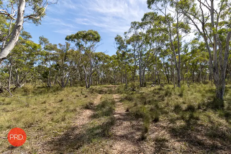 Fifth view of Homely rural property listing, 130 Jamaleopa Road, Manar NSW 2622
