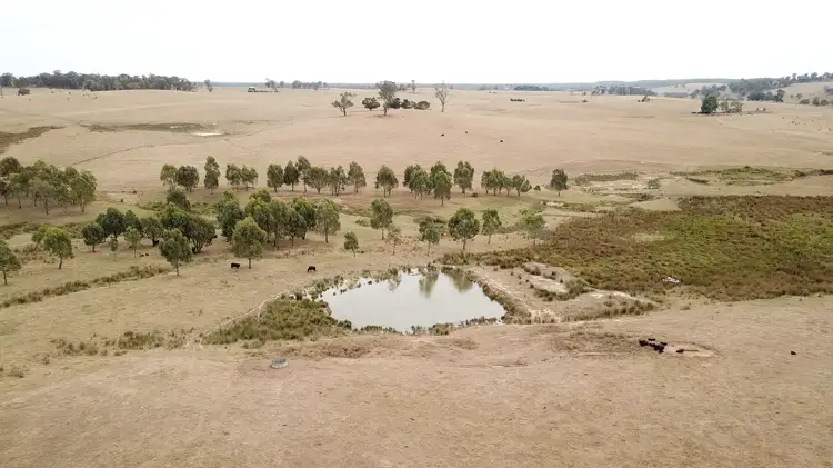 Main view of Homely rural property listing, 6 Wolseley Park Road, Tumbarumba NSW 2653