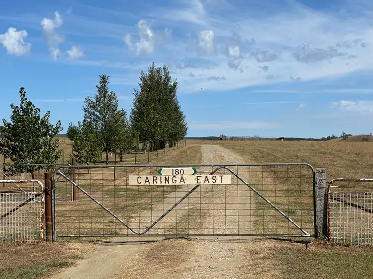 Main view of Homely rural property listing, 180 Mannus Flats Road, Mannus NSW 2653