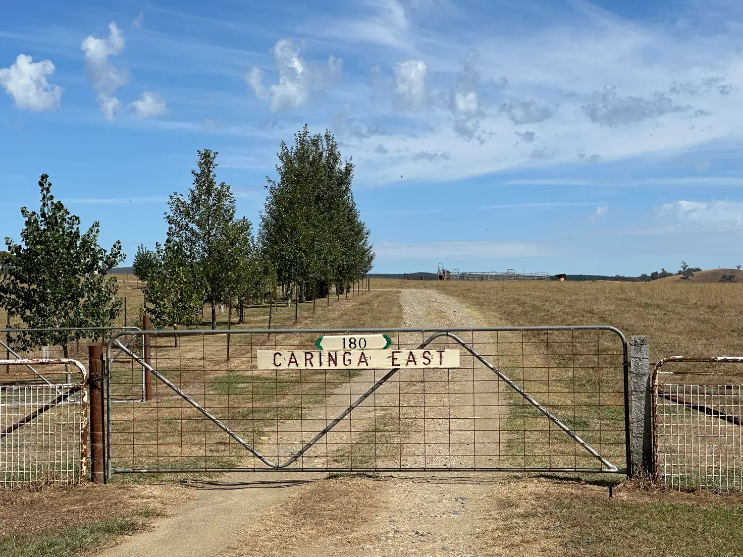 Main view of Homely rural property listing, 180 Mannus Flats Road, Mannus NSW 2653