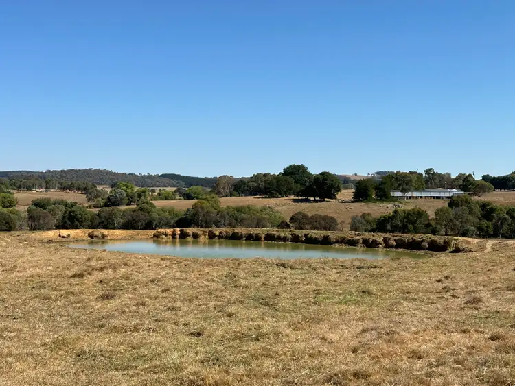 Sixth view of Homely rural property listing, 180 Mannus Flats Road, Mannus NSW 2653