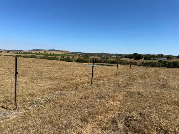 Seventh view of Homely rural property listing, 180 Mannus Flats Road, Mannus NSW 2653