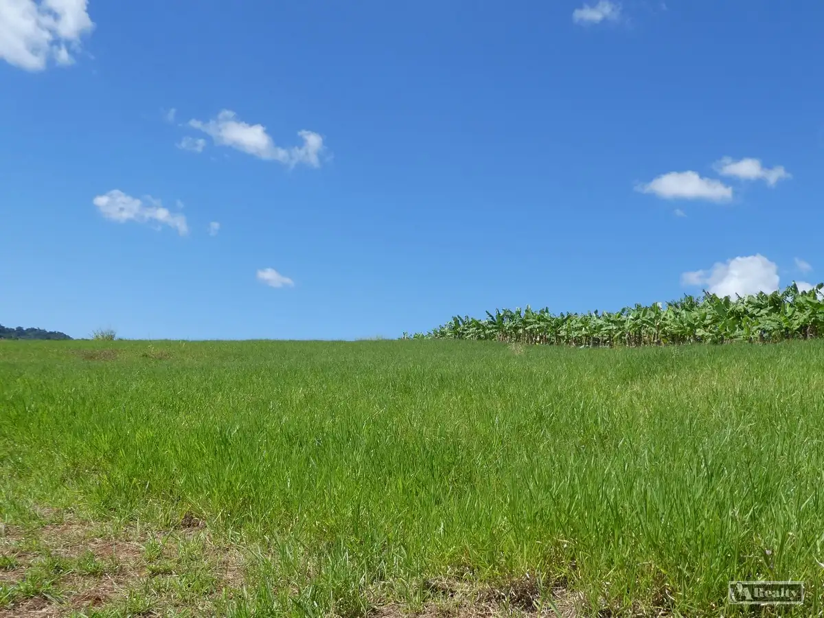 Main view of Homely rural property listing, 79 Fallon Road, Garradunga QLD 4860