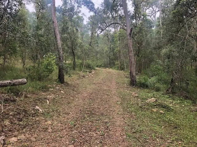 Fourth view of Homely land listing, LOT 42 Creevey Drive, Captain Creek QLD 4677