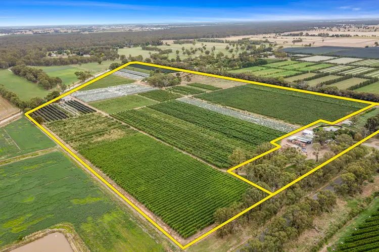 Main view of Homely rural property listing, 5160 Barmah-Shepparton Road, Bunbartha VIC 3634