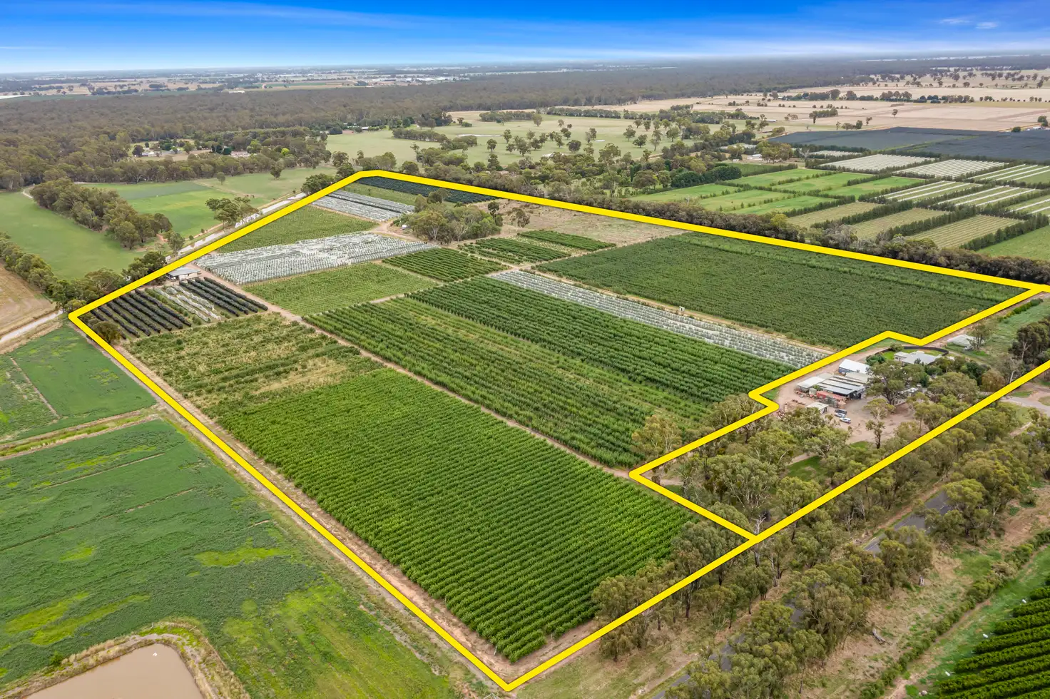 Main view of Homely rural property listing, 5160 Barmah-Shepparton Road, Bunbartha VIC 3634