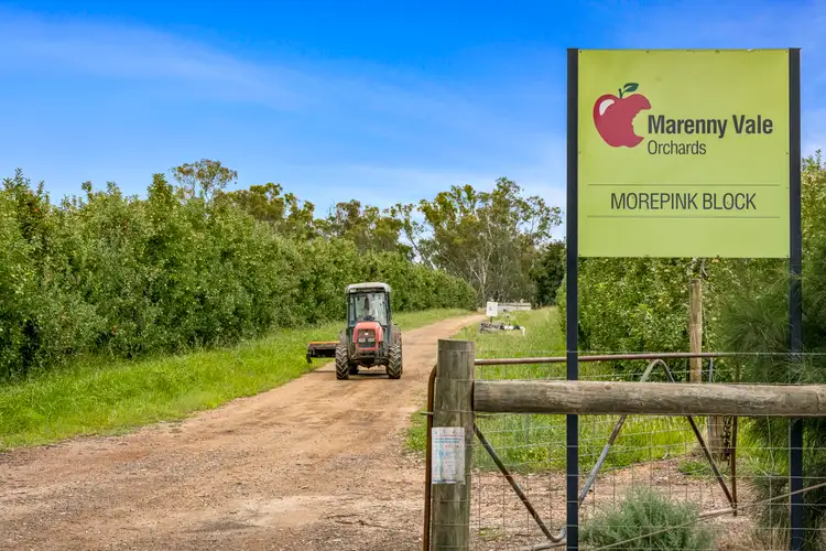 308 Murray Road, Nathalia VIC 3638