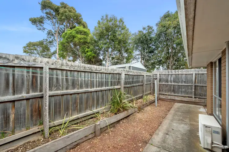 Sixth view of Homely unit listing, 3/8 Cheryl Crescent, Belmont VIC 3216