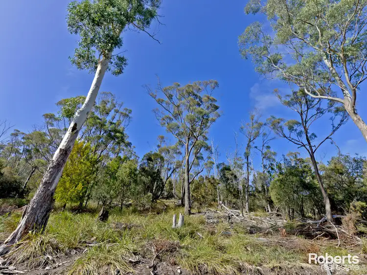 Fourth view of Homely land listing, Lot 7 Collins Cap Road, Molesworth TAS 7140