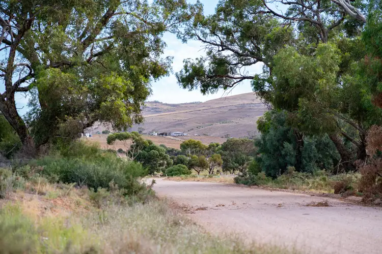 Section 450 Three Chain Road, Cambrai SA 5353