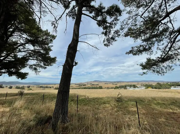 Fourth view of Homely rural property listing, 46 Mannus Creek Road, Tumbarumba NSW 2653