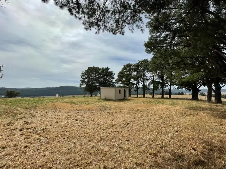 Seventh view of Homely rural property listing, 46 Mannus Creek Road, Tumbarumba NSW 2653