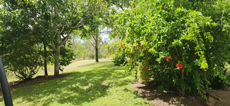 Fifth view of Homely house listing, 162 Mcintyres Road, Damascus QLD 4671
