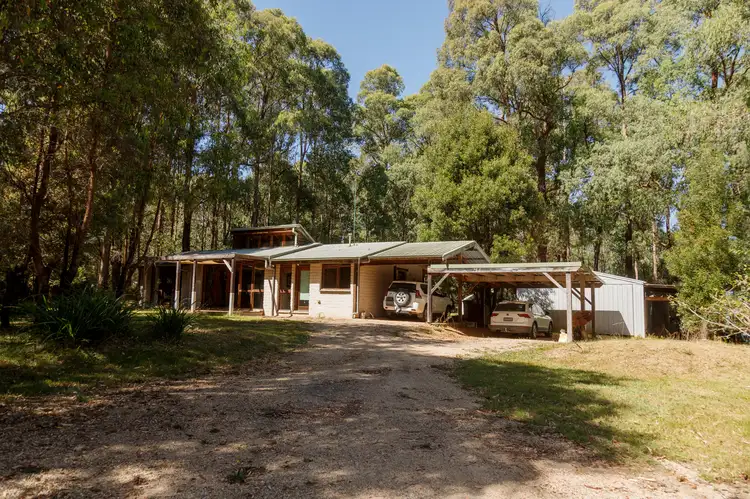 Second view of Homely rural property listing, 549 Marysville Road, Narbethong VIC 3778
