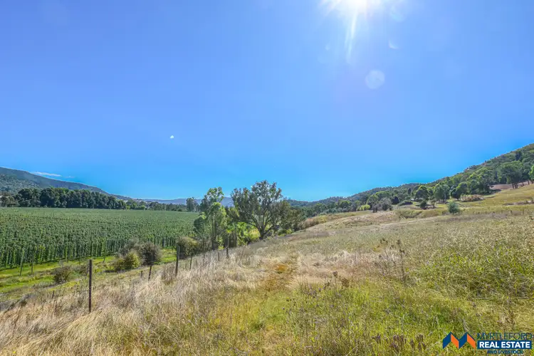 Seventh view of Homely land listing, 590 Buffalo River Road, Buffalo River VIC 3737