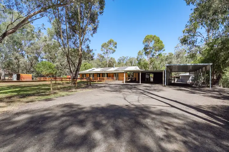 24 SWAMP GUM, Oakford WA 6121