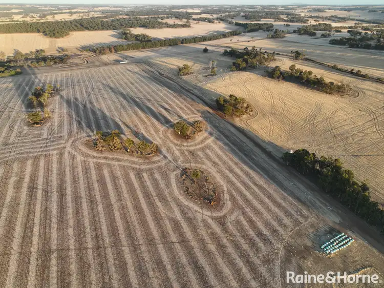 Fourth view of Homely rural property listing, 487 Taylor Road, Darkan WA 6392