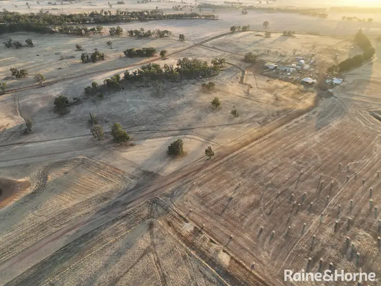 Sixth view of Homely rural property listing, 487 Taylor Road, Darkan WA 6392