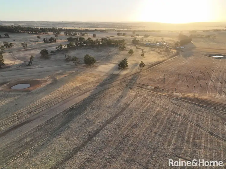 Seventh view of Homely rural property listing, 487 Taylor Road, Darkan WA 6392