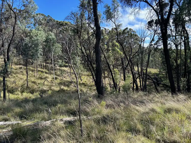 114 Nangawooka Road, Mudgee NSW 2850