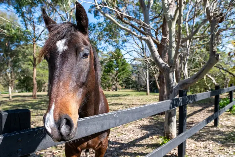 Lot 186 Cooyong Road, Terrey Hills NSW 2084