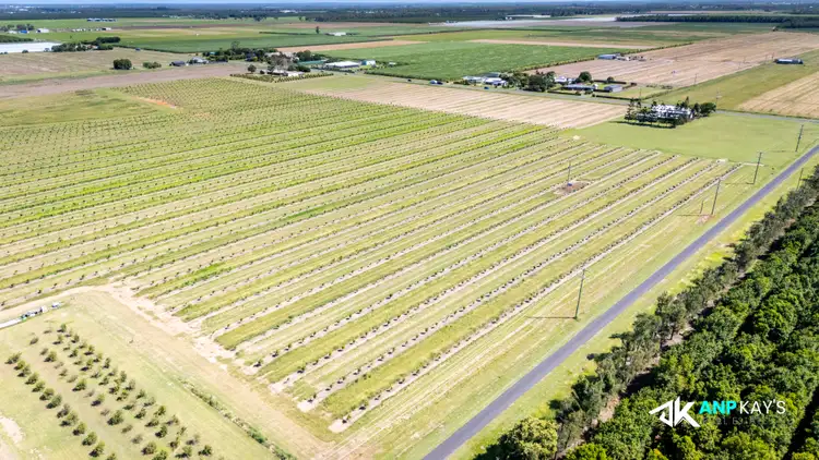 Sixth view of Homely land listing, LOT 2 Zahns Road, Gooburrum QLD 4670