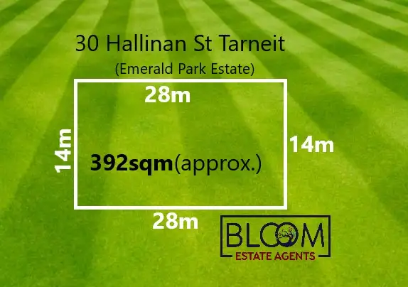 30 Hallinan Street, Tarneit VIC 3029
