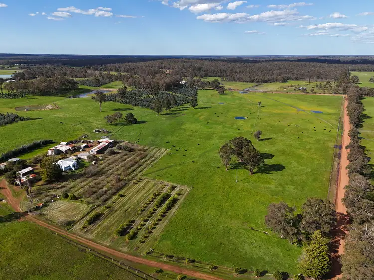 Main view of Homely rural property listing, 64 Gibellinis Road (Linfarne), Manjimup WA 6258